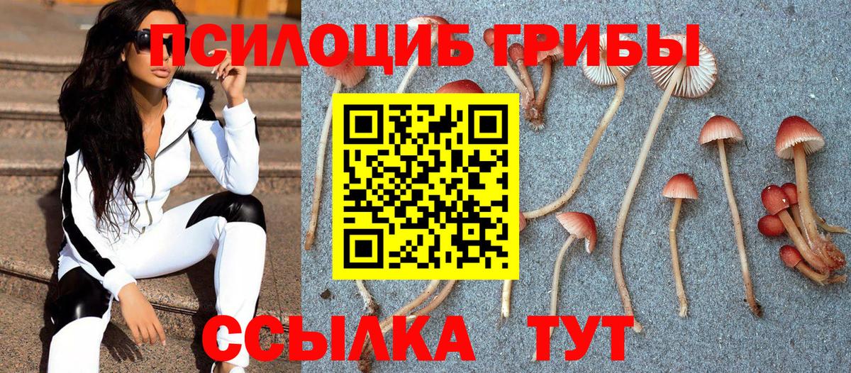 Псилоцибиновые грибы Psilocybine cubensis Биробиджан