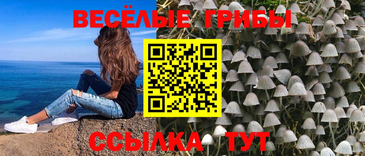Псилоцибиновые грибы GOLDEN TEACHER  Галлюциногенные грибы Psilocybe  Биробиджан  Вход с VPN 